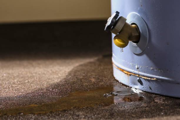 Water damage restoration insurance claims in Detroit Lakes, MN