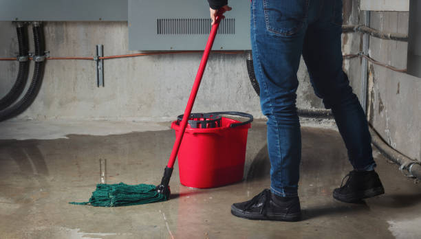 Best Basement water damage restoration  in Detroit Lakes, MN