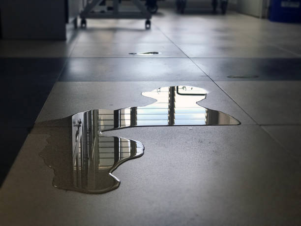 Best Flood restoration services  in Detroit Lakes, MN
