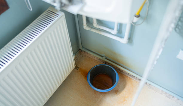 Best 24/7 water damage repair  in Detroit Lakes, MN