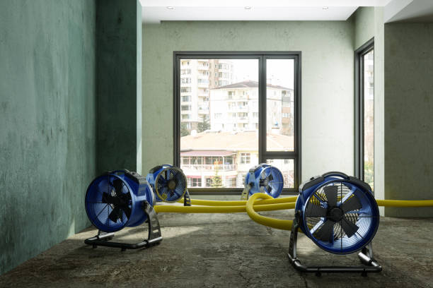 Best Ceiling water damage repair  in Detroit Lakes, MN