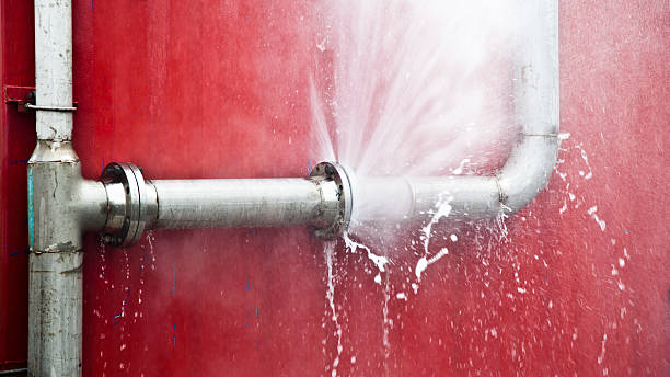 Carpet water damage restoration in Detroit Lakes, MN
